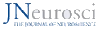 JNeurosci